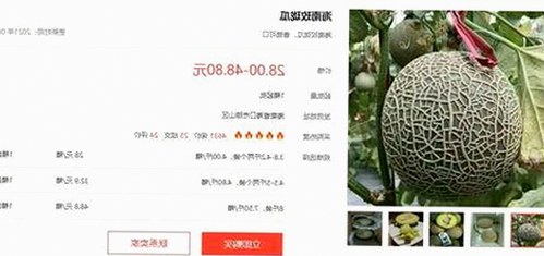 最新指南：茄子视频官方版下载助您畅享高清内容