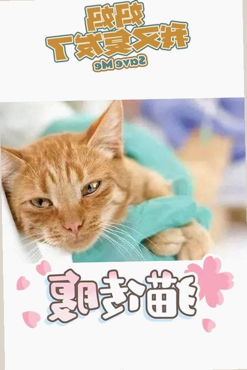 如何安全下载羞羞漫画安装包下载，避免不必要的风险