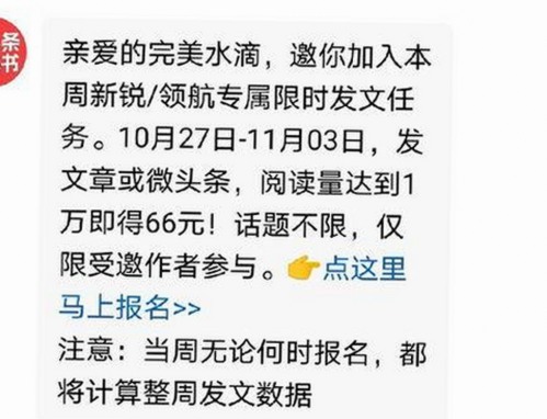 91视频网站最新动态：丰富资源助力鲁鲁影院电视剧免费观看最新章节免费版下载