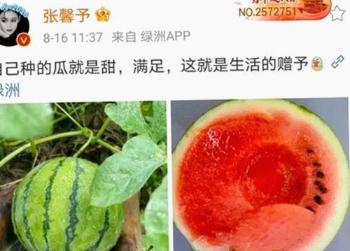 91网站：探索最新内容资源与相关法律争议