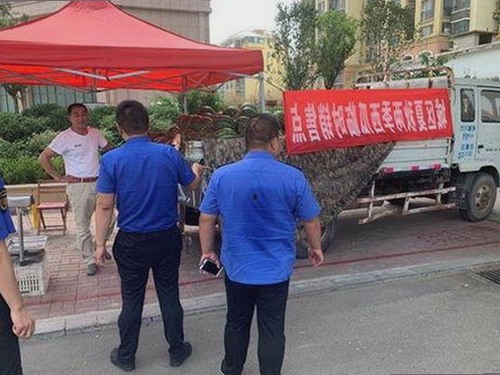 探索樱桃视频官方版下载：提升视听体验的关键选择
