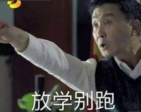 揭秘鲁鲁影院电视剧免费观看最新章节官方版：中山市用户的首选
