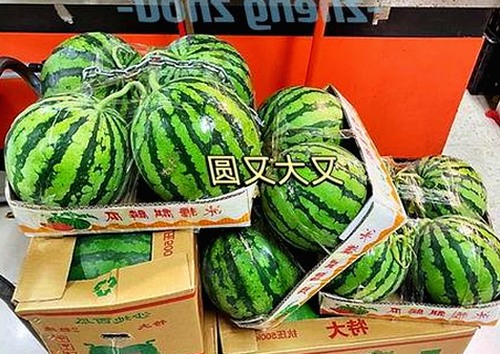 刘宇宁热议：www91免费版引领潮流新动向