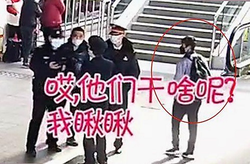 深入解析麻豆视频在线播放官方版：现状与未来趋势