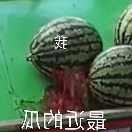 高清乱码🔞❌♋免91官方版下载：最新资源动态与注意事项