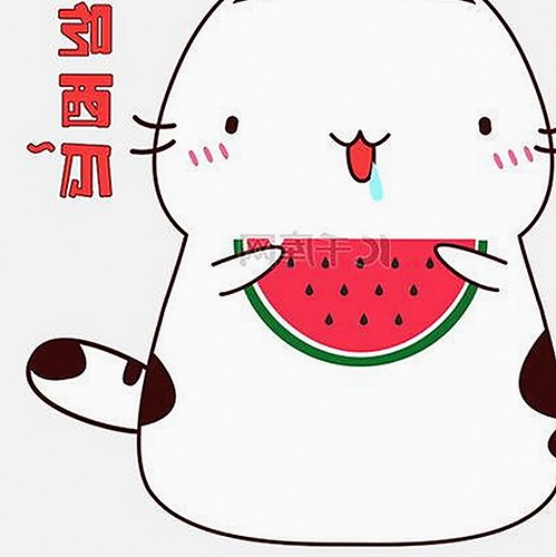 最新91破解版免费版下载：畅享无忧体验