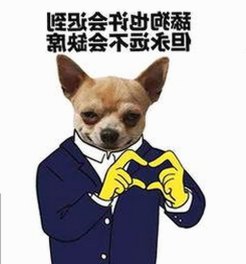 探索中国影视新体验：www.91色😍萝网站最新版下载带来的变化