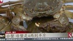 成人抖音官方版最新动态：内容安全与资源丰富并存