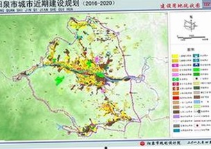 探索武汉市最新娱乐资源：91香蕉最新版下载引领潮流