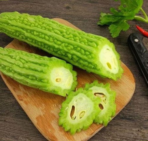 信阳市新上线的蘑菇视频免费版引领观影新潮流