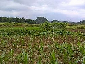 豆花视频官方版下载：获取高清影视内容的便捷途径