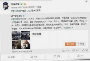 如何通过菠萝视频安装包下载轻松获取优质影视资源