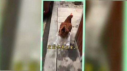 已满十八免费观看电视剧官方版：景德镇市最新影视资源介绍