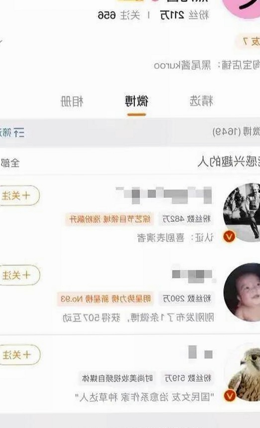 香蕉视频2026最新版带来全新体验，引领石家庄市娱乐潮流