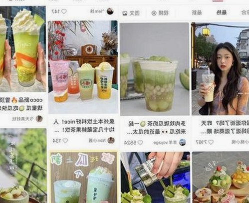 嫩草17.c 91免费版官方版：全面解析其在日喀则市的应用与发展