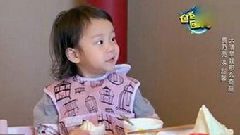 从实用到趣味：鲁啊鲁免费版在南宁市的最新表现