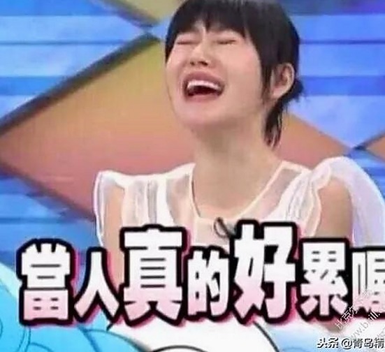体验麻豆视频在线观看官方版免费版：海口市用户的全新选择
