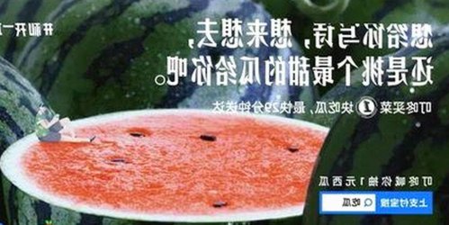 深入解析：91🍆🍑🔞❌❌❌一起草wwwcom91安装包下载的背后