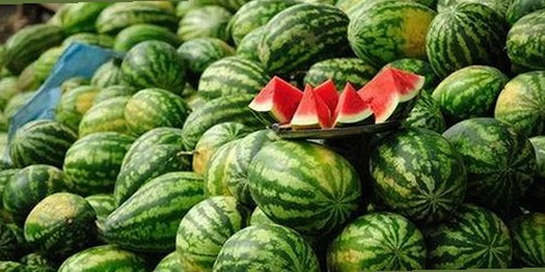 最新动态：小🐔🐔伸进🈲🔞🔞官方免费版引领合肥市新体验