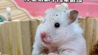 人物聚焦：绥化市男子的坚持与变化——男的🈚放丄到女的官方版