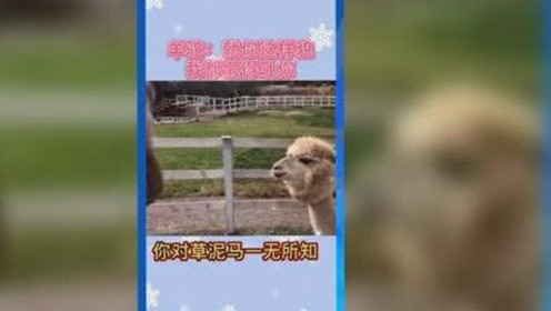 丁香花影院免费观看电视剧锦绣未央官方版免费版：畅享高清剧集体验