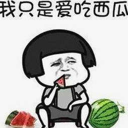 探索91网站最新版下载：全面升级的数字体验