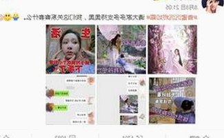 探索抚顺市的热门选择：鲁啊鲁官方版免费版实测体验