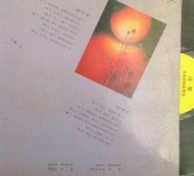 大连市用户热议：91免费免费版官方版带来的新体验