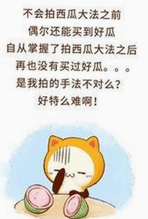 大同市用户体验升级：动感小站在线官方版带来全新娱乐互动体验