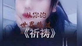 镇江市用户必看：免费91官方版下载详细指南