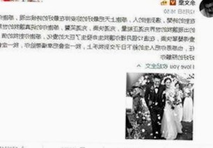 大连市推荐的免费视频免费版资源指南