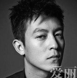 雅安市用户必备：可靠的看片安装包下载指南