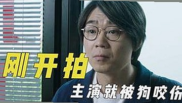 刘宇宁事件引发关注，51黑料官方版免费版揭秘真相
