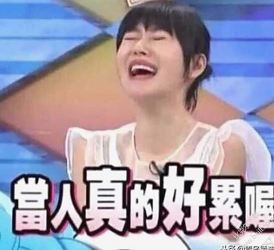 最新发布：91小视频官方版正版下载带你体验精彩内容