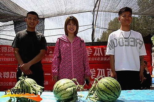 x7瓯美x7x7任意噪免费版现已火热上线，开启全新娱乐体验