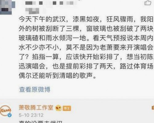 探索大连市的菠萝视频免费版官方版：安全与便捷并存