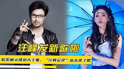 探索大连市的菠萝视频免费版官方版：安全与便捷并存