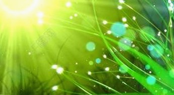 长治市用户必备：最新的菠萝TV官方版全方位解析