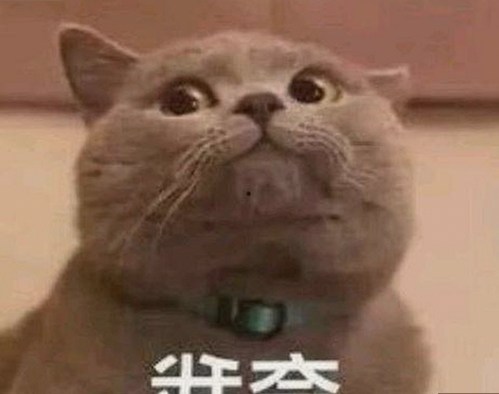91漫画安装包下载：白山市用户的最佳选择与使用指南