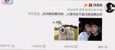 鲁啊鲁官方版免费版：探索巴中市的精彩体验