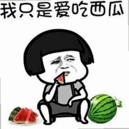 从争议到认可：蘑菇视频官方版下载的现状与未来