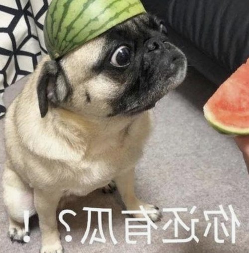 最新上线！18+触摸互动游戏+黄油苹果免费官方版全新体验详解