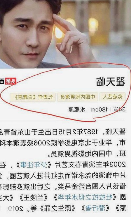 从用户体验到官方保障：丫丫影院免费高清电视剧观看官方版下载的变化与现状