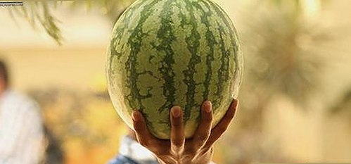官方推荐：免费下载 免费观看在线高清动漫的软件下载官方版下载