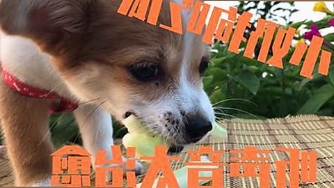 最新动态：91🍆🍑🔞❌❌❌一起草wwwcom17官方版引发热议